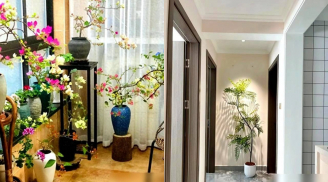 Dù nhà có rộng đến đâu, 5 vị trí này tuyệt đối không nên đặt hoa hoặc cây xanh, kẻo 'hoa thịnh người suy'