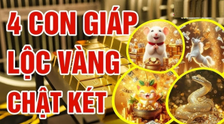 4 con giáp Thiện duyên sinh thiện quả, Long Phụng quy tụ, phước báu song toàn Tết 2026
