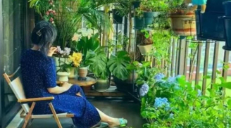 5 vật tuyệt đối không đặt trên ban công, giúp ngôi nhà hút tài lộc và may mắn ngay lập tức