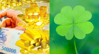 Mệnh số mở đèn xanh: 4 con giáp từ tuổi 40 thuận buồm xuôi gió, tiền bạc không thiếu, giàu mãn kiếp