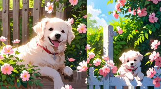 3 tuổi tính tình ngay thẳng, đi lên bằng Thực Lực, chậm nhưng chắc, đời an nhiên, càng già càng giàu