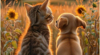 10 ngày cuối tháng 9: 3 con giáp cẩn trọng đầu tư, đề phòng tiểu nhân, đi xa nhớ giữ mình