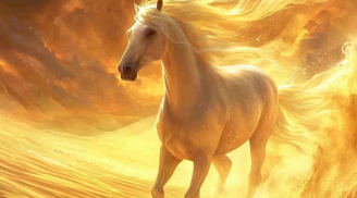 Khí phách phi phàm: 3 tuổi làm nên nghiệp lớn từ tuổi 35, càng về già càng vững vàng, công danh lẫy lừng