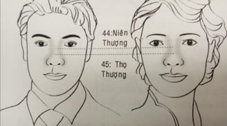 Xem vận số của những người từ 44 - 50 tuổi