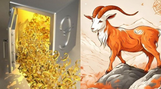 4 con giáp 5 năm tới tiền rơi đầy két: Từ nghèo thành đại gia, giàu đến ngộp thở, tiêu 3 đời không hết
