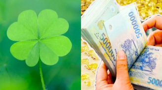 3 con giáp mang 'thiên mệnh công danh' được ví như 'ông hoàng công việc', làm gì cũng ra tiền