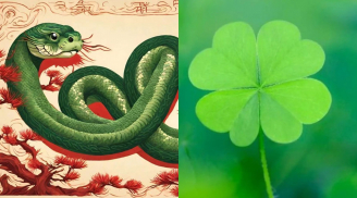 13 ngày cuối tháng 9 (18-30/9): 3 con giáp tắm trong cơn mưa tiền, cuối năm thành ông hoàng thịnh vượng