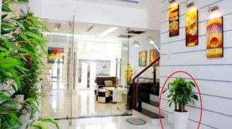 5 quy tắc phong thủy hút tài lộc: Người giàu đặc biệt kiêng kỵ phần 'miệng' của ngôi nhà
