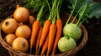 6 loại rau củ 'tự sạch', không cần thuốc trừ sâu vẫn xanh tốt, ai đi chợ cũng nên biết