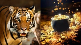 90 ngày cuối năm: 4 con giáp lên như diều gặp gió, tiền tài dư dả, vận may nối tiếp sang 2026