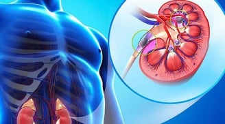 3 bí quyết dưỡng thận, thải độc hằng ngày