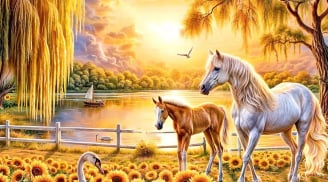 'Trúng số đặc biệt' trong tháng 8 âm: 3 tuổi Tình-Tiền Cực Đỏ, Đông có Vàng Tây có Bạc, giàu nhất số 2