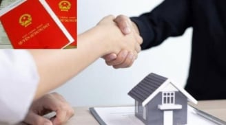 6 trường hợp bị “chặn đứng” quyền sang tên sổ đỏ theo quy định mới nhất, bạn có thuộc diện này?