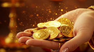 Tuổi trẻ tài cao: 3 con giáp thành danh trước 35, làm nghiệp lớn sau 45 không cần dựa dẫm