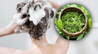 Cách gội đầu bằng lá trà xanh giúp giảm rụng tóc, làm mượt tóc