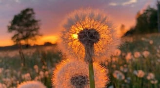 Càng sớm rời xa 3 thứ này càng khôn ngoan, cuộc sống sẽ giàu sang hạnh phúc, càng giữ càng khổ