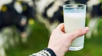 Uống gì để giảm mỡ máu? Top 5 đồ uống tốt cho sức khỏe tim mạch