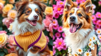 3 tuổi Tài Năng Lãnh Đạo thiên bẩm, Vượt Khó Đi Lên, vang danh lẫy lừng