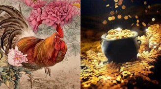 Bước sang tuổi 40: 3 con giáp liền 'mở kho vàng', sự nghiệp đạt đỉnh, ví tiền căng phồng đến bật cả khóa