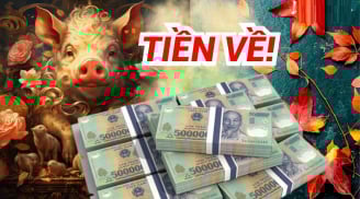 Từ 24/9 đến Tết Trung Thu: 3 con giáp Gieo Nhân Gặt Quả, tắm trong bể tiền