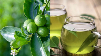 Cách dùng nước Lá Chanh: tiêu hóa tốt, thanh nhiệt thải độc lại giúp thư giãn, ngủ ngon