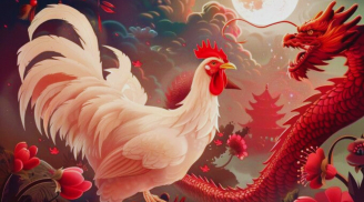 Đêm nay tới Rằm Trung Thu: 3 tuổi Số Đỏ bất ngờ, Tiền To Tiền Nhỏ về chật ví
