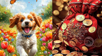 Đúng 0h ngày 1/10: 4 tuổi tin vui liên miên, tin vui cả tháng, Tài Lộc sáng như vàng, tiền về như trúng số