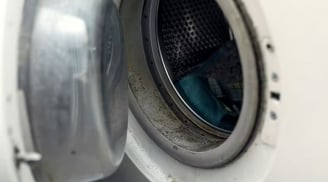 Xóa sạch vết mốc đen trên máy giặt chỉ trong 15 phút với nguyên liệu tự nhiên