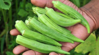 4 loại rau quý ngang nhân sâm bác sĩ khuyên ăn nhiều, chợ Việt chỉ cần 10k đủ 4 người ăn