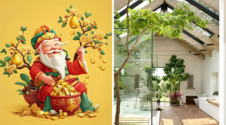 Nhà có “khí” mới vượng: 4 cách lấy lòng Thần Tài, kích hoạt tiền tài thăng hoa như hổ mọc cánh