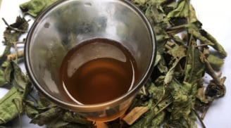 Nước xạ đen không phải thần dược, 5 người này càng uống càng sinh bệnh