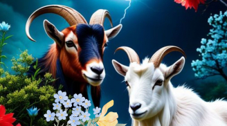 Chăm Làm Việc Thiện: 3 tuổi Không Giàu Tiền cũng Dồi Dào Phúc Lộc, Gia Đình Yên Ấm, cuộc đời an vui