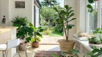 3 'thấy' điều này ở ngay lối vào nhà, chứng tỏ ngôi nhà vượng khí, nơi đón khí trời, tụ phúc, giữ lộc