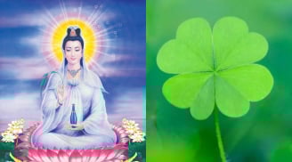 Bồ Tát che chở 3 con giáp này: Không bệnh tật, sống trường thọ, của cải dồi dào