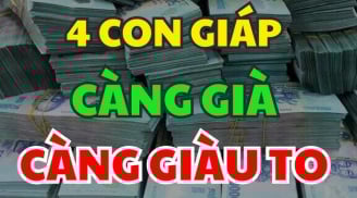 Khổ Trước Sướng Sau: 4 con giáp Vượng Vận nở muộn, phải lớn tuổi mới giàu