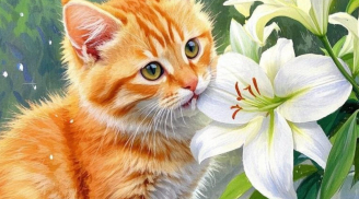 Người làm trời nhìn: 3 con giáp không cần thanh minh, nỗ lực sống thật với mình, trời thương cho lộc