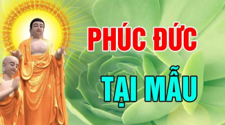 4 hành động của cha mẹ khiến con cái giỏi giang: Đời đời nhận phúc báo, giàu có hơn người