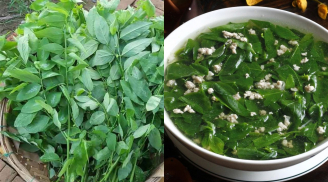 5 trường hợp nên Hạn Chế Ăn Rau Ngót