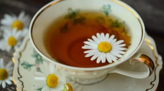 Thải độc cho cơ thể bằng trà hoa cúc