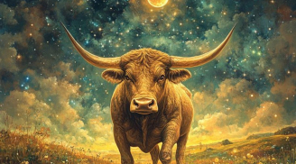 Thần Tài mang tiền tới: 3 tuổi chăm chỉ, học hỏi không ngừng nên cả đời không thể thất nghiệp, giàu có liên miên