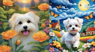 Ăn ở hiền lành dành phúc về sau: 3 tuổi lương thiện càng già càng vui khỏe, Giàu Phúc Giàu Tiền