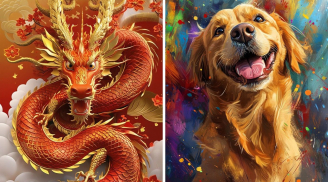 Từ 2/10 đến 20/10: 3 tuổi Tiền Hái Ra Tiền, Giàu Sang Bất Chấp