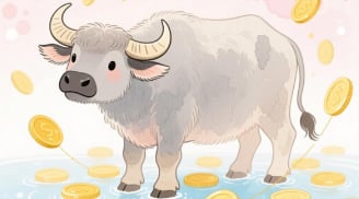 3 tuổi là Rồng cưỡi mây, 3 tháng cuối năm 2025 phất lên vù vù, càng làm càng giàu