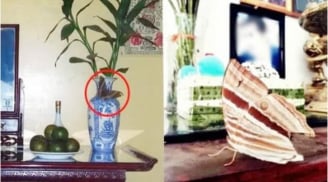Bát hương có dấu hiệu này: Điềm báo may mắn, gia chủ Trúng Lớn tiền tiêu 3 đời