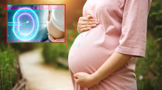 Từ hôm nay: Phụ nữ độc thân được làm IVF để sinh con
