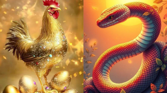 4 tuổi Linh Hoạt gặp thời đổi vận thành Ông Hoàng Bà Chúa thời Công Nghệ Số, Giàu Sang Trong Vài Năm Tới