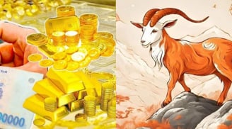 Bước sang 20/10: 4 cung hoàng đạo đón quý nhân, công danh sáng lạn, tình duyên viên mãn