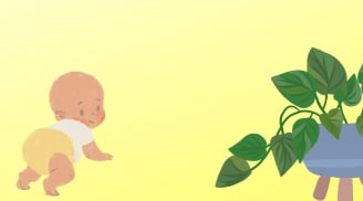 Nhà có con nhỏ, hãy cẩn trọng khi trồng 5 loại cây cảnh này