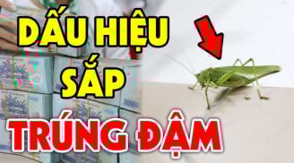 Nhà có dấu hiệu này sắp Trúng Đậm: Càng ở càng giàu có, 3 đời không hết phúc