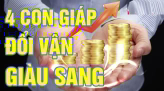 Top 4 con giáp Ngược Gió Mà Đi, lật ngược từ nghèo hóa giàu, thắng đời 1- 0